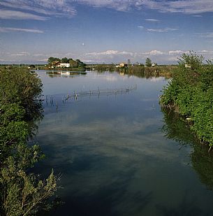 Marano Lagunare